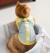 JESMARY- QUẦN ÁO THÚ CƯNG GIÁ RẺ, UY TÍN TOÀN QUỐC